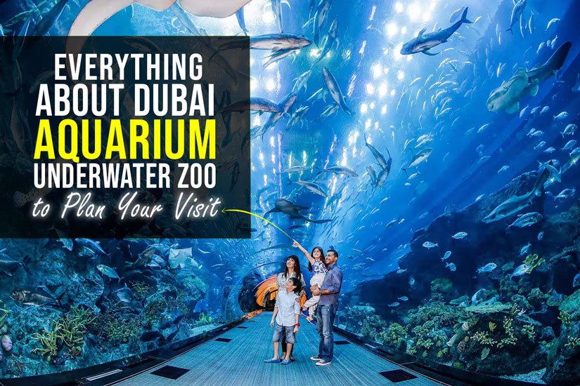 Everything About Dubai Aquarium & Underwater Zoo to Plan Your Visit