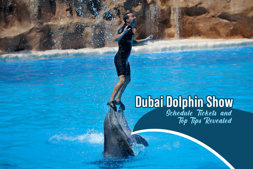 Dubai Dolphin Show Schedule, Tickets, and Top Tips Revealed