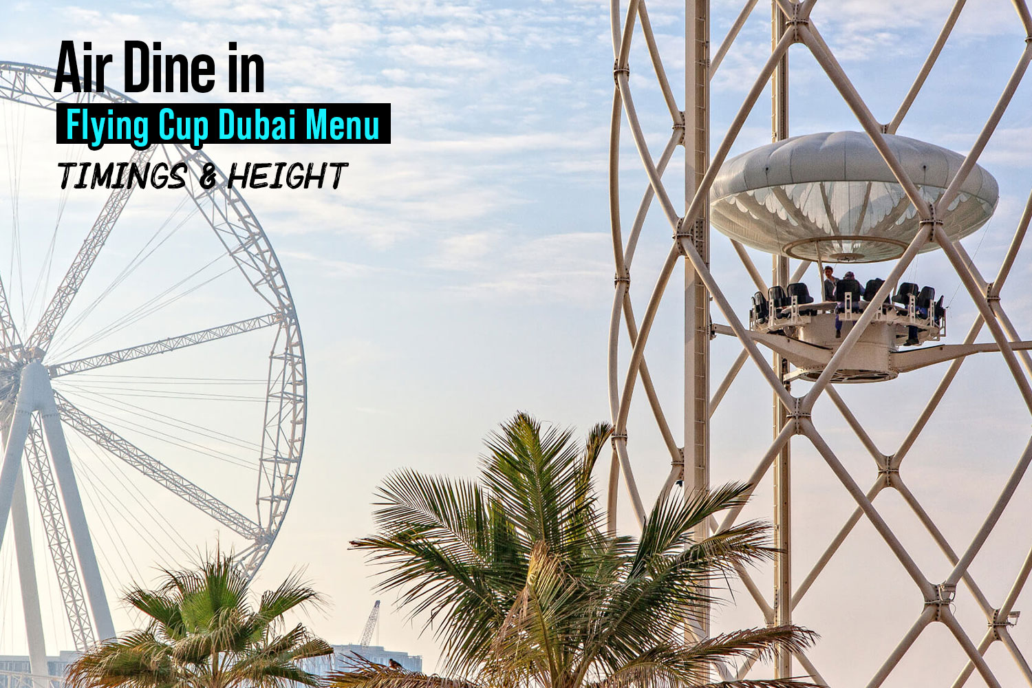 Dine in Air: Flying Cup Dubai Menu, Timings & Height
