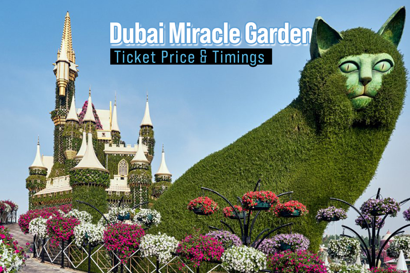 Dubai Miracle Garden Ticket Price & Timings